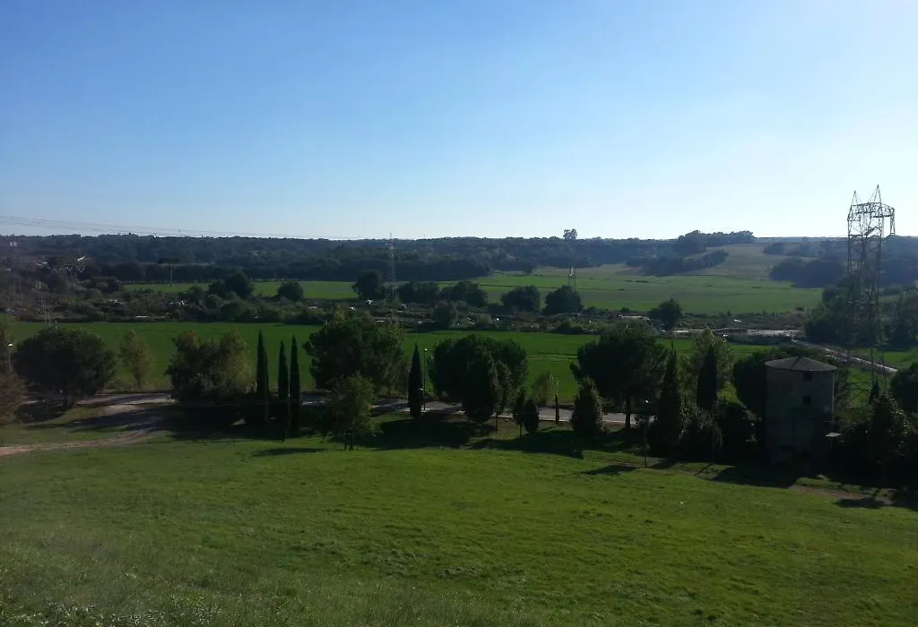 Girasolereale Bed And Breakfast-1